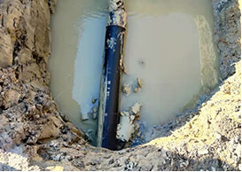 25 Abbotleigh Avenue